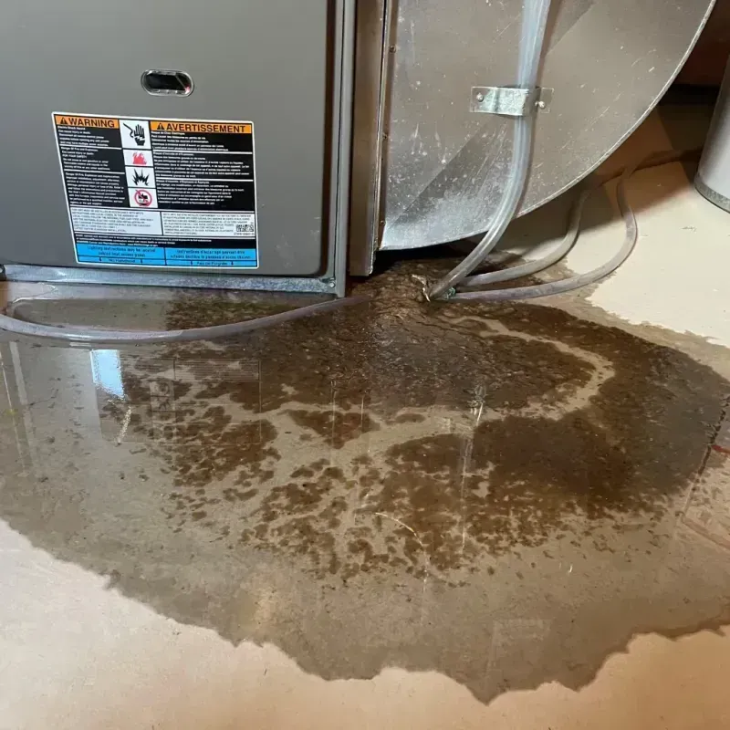 Appliance Leak Cleanup in Chippewa Falls, WI